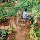 Ở phố hay về quê?